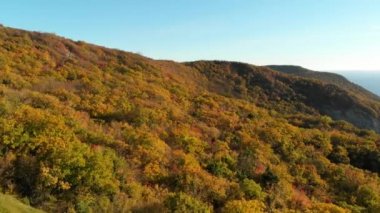 Sonbahar ormanı, kayalık uçurum ve mavi deniz manzarası