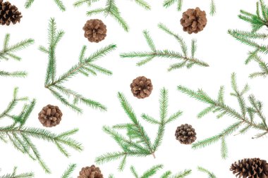 Noel desenli köknar ağacı dalları ve beyaz b üzerinde çam kozalakları