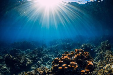 Mercanlar, kayalar ve güneş ışınlarıyla dolu sualtı sahnesi. Tropikal okyanus