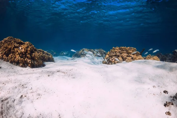 Océan tropical avec sable blanc et coraux sous-marins — Photo