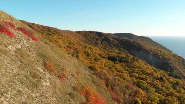 秋天的森林 有悬崖和大海的高山的空中景观 — 图库视频影像