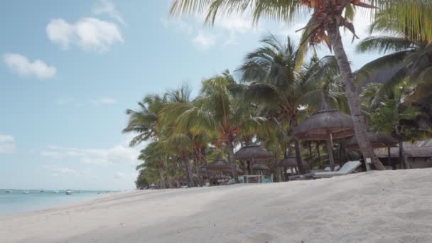 Prachtig Uitzicht Het Resort Mauritius Wit Zandstrand Palmen Lucht — Stockvideo