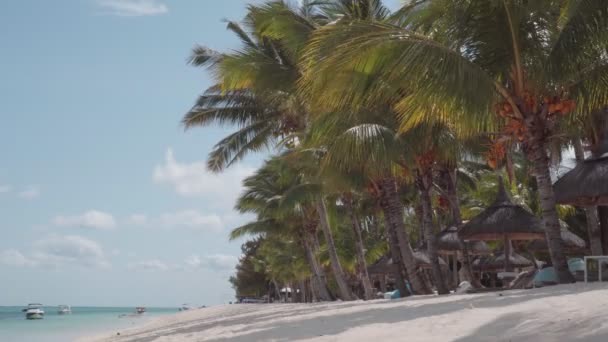 Mauritius Taki Tatil Köyünün Güzel Manzarası Beyaz Kumsal Palmiyeler Gökyüzü — Stok video