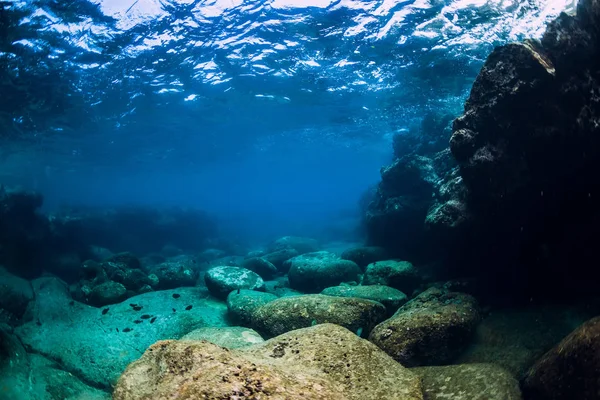 Тихая подводная сцена с копировальным пространством. Тропическая прозрачность — стоковое фото