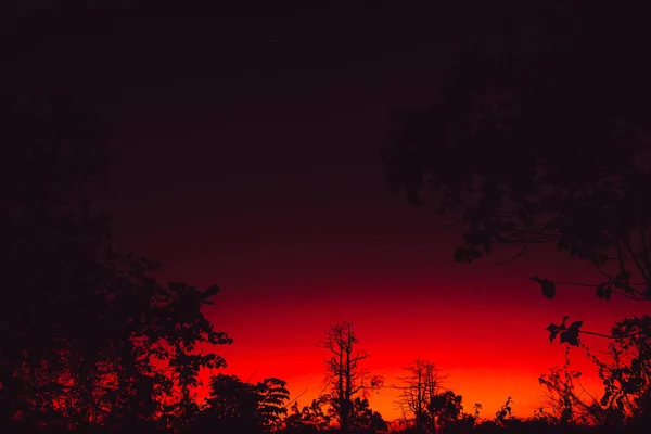 Pôr do sol brilhante colorido ou nascer do sol com árvores — Fotografia de Stock