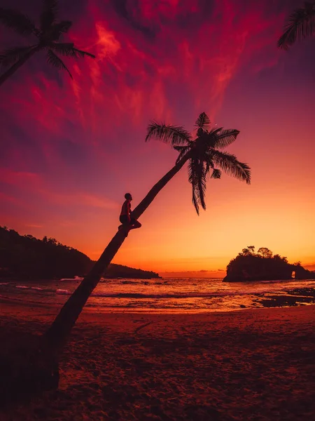 Мандрівник сидить на кокосовій долоні і дивиться на захід сонця або схід сонця — стокове фото