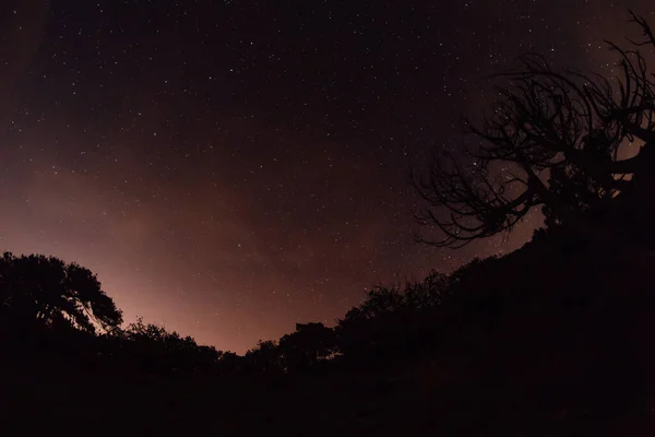 Cielo Estrellado Nocturno Con Montañas Árboles — Foto de Stock