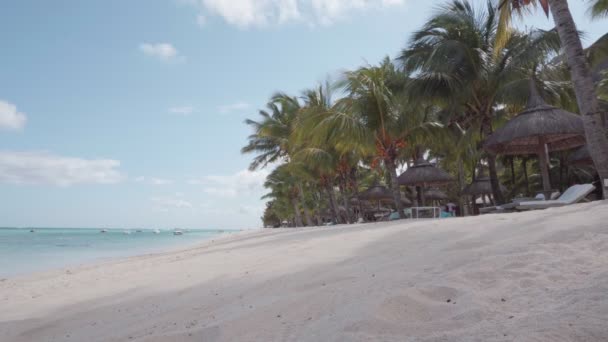 Красивый Вид Курорт Маврикии Тропический Пляж Пальмы Небо — стоковое видео
