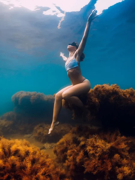 Freitaucherin Posiert Auf Stein Mit Algen Unterwasser Freitauchen Blauen Ozean — Stockfoto