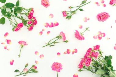 Beyaz arka planda pembe güllerden oluşan çiçek deseni. Düz yatış, Üst Görünüm