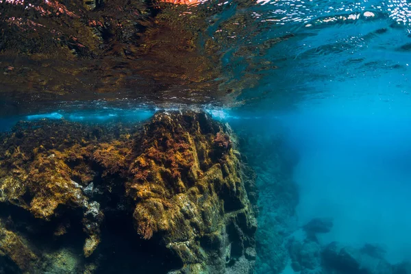 Escena Submarina Con Rocas Agua Azul Océano — Foto de Stock