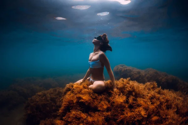 Kobieta Darmowy Nurek Płetwami Nurkuje Pod Wodą Freediving Błękitnym Oceanie — Zdjęcie stockowe