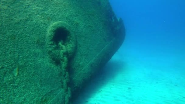 Relitto Telamon Sott Acqua Nell Oceano Blu Vicino Arrecife Lanzarote — Video Stock