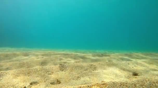 Blauwe Oceaan Diepte Met Witte Zandbodem Onderwaterzonnestralen Hawaï — Stockvideo