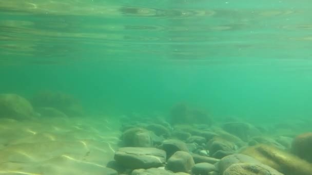 Vista Subaquática Mar Transparente Com Pedras — Vídeo de Stock