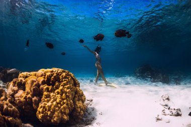 Kadın tropikal okyanusta sarı yüzgeçlerle suya dalıyor. Mauritius 'ta serbest dalış ya da şnorkelle yüzme