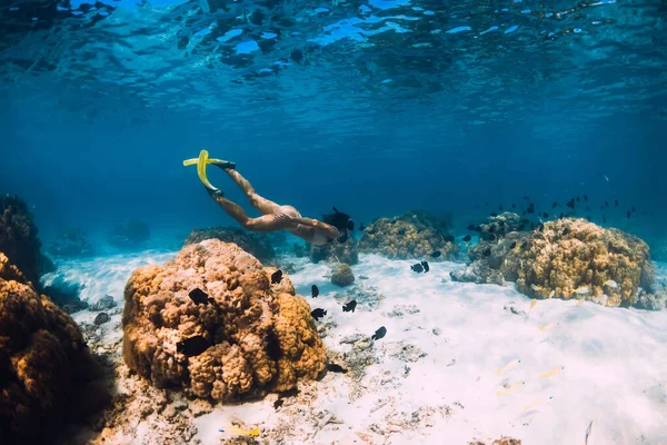Donna Tuffarsi Sott Acqua Con Pinne Gialle Nell Oceano Tropicale — Foto Stock