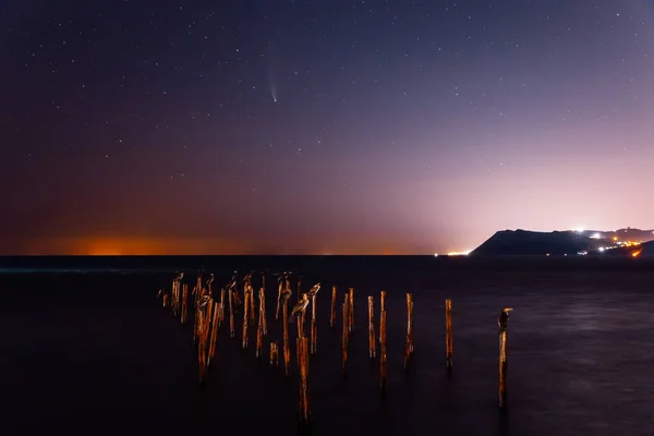 Comet 2020 Neowise Night Star Sky Sea Birds City Lights Royalty Free Stock Photos