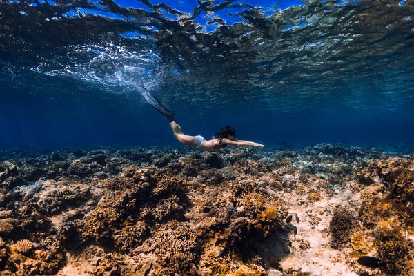 女性のフリーダイバーは海の中で水中で滑ります フィンとフリーダイビング — ストック写真