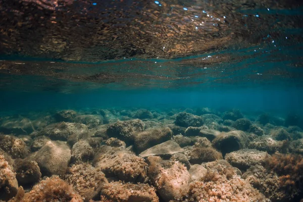 Vue Sous Marine Avec Pierres Algues Mer Transparente Lumière Soleil — Photo