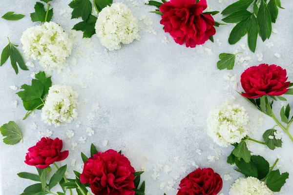 Moldura Floral Com Peônias Vermelhas Flores Brancas Hydradea Sobre Fundo — Fotografia de Stock