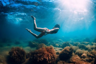 Çekici kadın su altında yosunla taşın yakınına dalıyor. Mavi okyanusta yüzmek