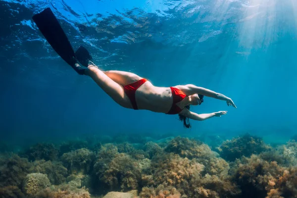 ビキニのスリムな女性は 太陽の光で青い海を滑ります 海の中で水中フィンとフリーダイビング — ストック写真