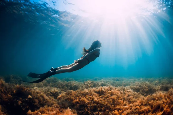 穿着比基尼的瘦女人带着太阳光在蓝色的海面上滑行 在海中放飞鱼鳍 — 图库照片