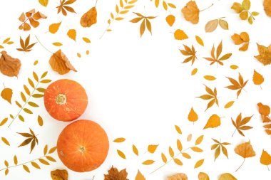 Sonbahar yaprakları ve beyaz arka planda balkabağı çerçevesi. Şükran Günü konsepti. Düz yatış, üst görünüm