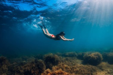 Bikinili serbest yüzen zayıf kadın mavi denizde ve güneş ışınlarında süzülüyor. Okyanusun altında yüzgeçleriyle serbest dalış