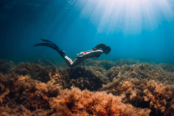 Freediver Mulher Magro Biquíni Desliza Mar Azul Raios Sol Freediving — Fotografia de Stock