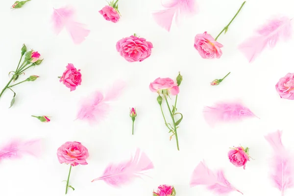 Floral Μοτίβο Από Ροζ Τριαντάφυλλα Και Φτερά Λευκό Φόντο Επίπεδο — Φωτογραφία Αρχείου