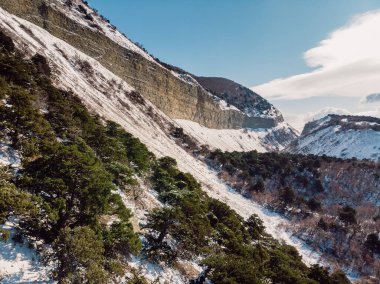 Kışın karlı ve ağaçlı kanyon. Kanyonun güneşli havadan görünüşü