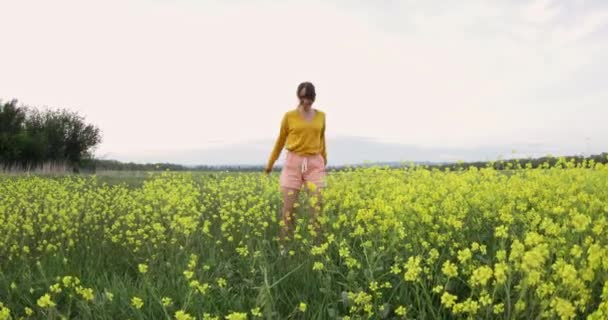 Young Woman Happy Walking Field Touching Yellow Flowers Woman Enjoying — Stock Video