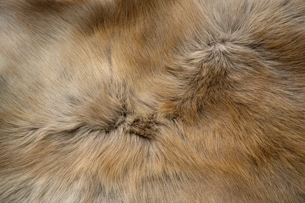 驯鹿的羊毛图案是棕色的 — 图库照片