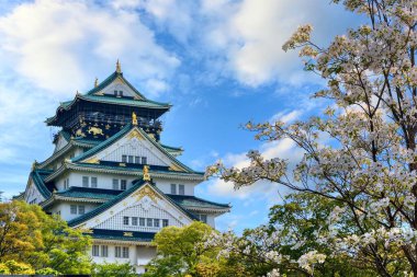 Yazın Osaka Şatosu 'nda bazı Yoshino kiraz çiçekleri açan bahçesiyle Japonya' nın Osaka şehrinin göbeğinde