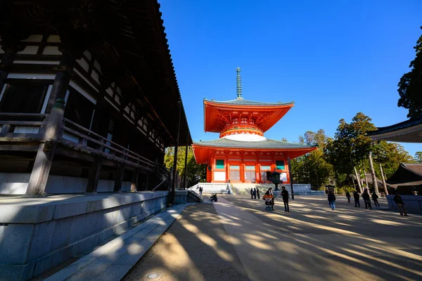 Wakayama Japan Prosince 2018 Konpon Daito Pagoda Chrámu Danjo Garan — Stock fotografie