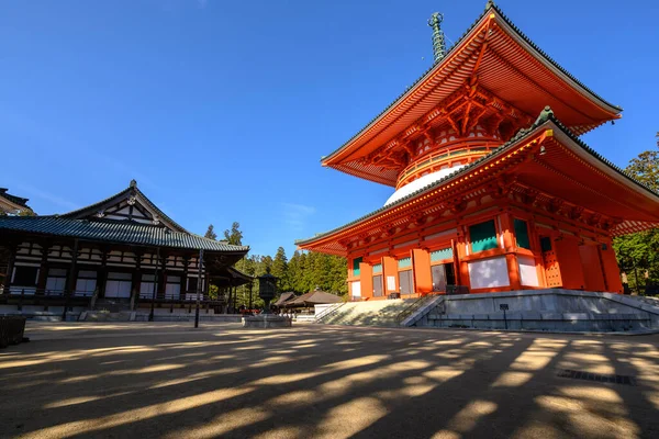 Wakayama Japan Prosince 2018 Konpon Daito Pagoda Chrámu Danjo Garan — Stock fotografie