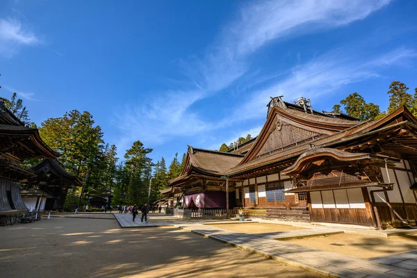 Wakayama Japonsko Prosince 2018 Konpon Daito Pagoda Chrámu Danjo Garan — Stock fotografie
