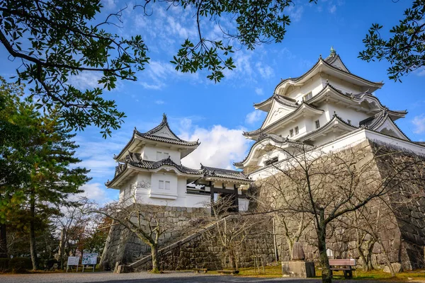 Blauwe Lucht Bij Kasteel Iga Ueno Iga Japan — Stockfoto