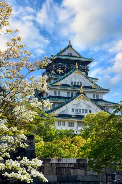 Hrad Ósaka Létě Zahradou Třešňovými Květy Kvetoucími Jasných Dnech Uprostřed — Stock fotografie