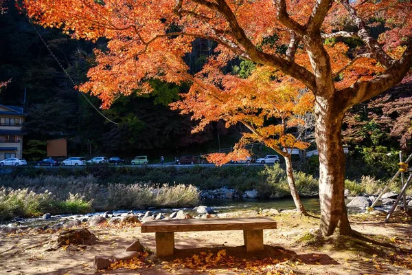 Wooden Bench Maple Tree Stream Autumn Korankei Valley Here Popular — Stock Photo, Image