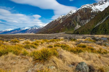 Kışın tepesinde kar olan yüksek dağlar, güzel gökyüzü ve bulutlar. Yeni Zelanda, Cook Yolu 'ndaki çimenler sarıdır..