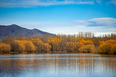 Ağaçlar göl üzerindeki sarı-turuncuya, arka plan ise yüksek dağlara ve bulutlu mavi gökyüzüne dönüşür. Yeni Zelanda 'nın kırsalında güzel bir doğa