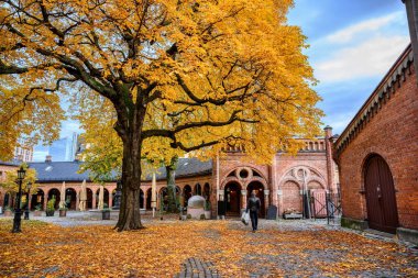 A man walking in the courtyard of the Oslo Cathedral in the autumn The trees in the garden of the leaves turn yellow and orange. Beautiful, in the evening the sky is blue with clouds. clipart