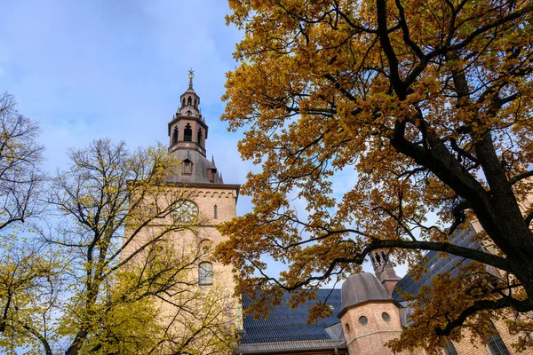 Hof Der Osloer Kathedrale Herbst Die Bäume Laubgarten Färben Sich — Stockfoto