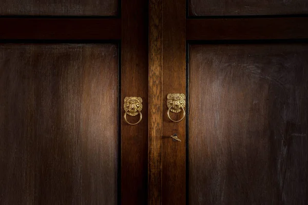 Παλιές Ξύλινες Πόρτες Σκούρο Καφέ Close Χρυσό Λιοντάρι Παλαιό Σχέδιο — Φωτογραφία Αρχείου