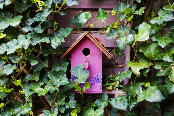 Kleurrijke Houten Weinig Vogelhuisje Met Klimop Muur — Stockfoto