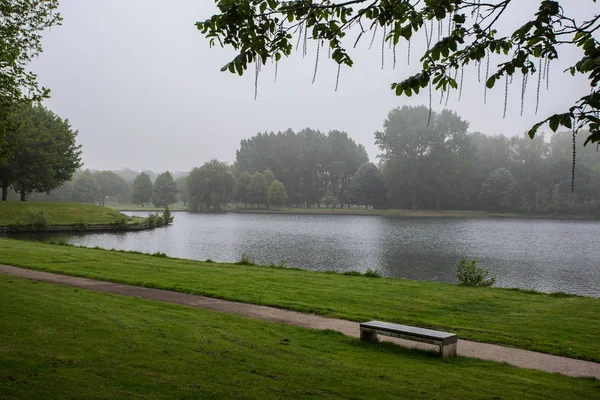 Зелений міський парк з дерев'яною лавкою і озером на ранковий день — стокове фото