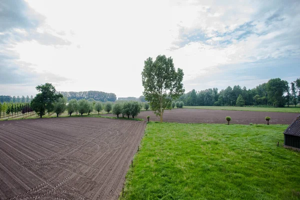Сельскохозяйственный ландшафт с зелеными полями и видом на луг — стоковое фото